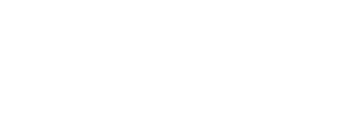 Lindocat Advanced logo